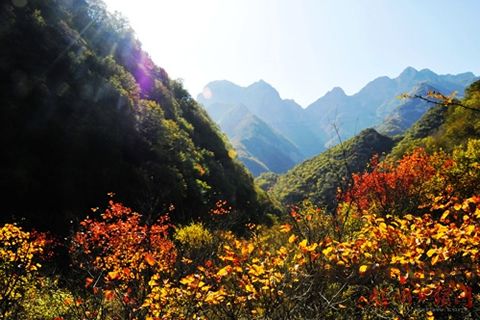 【隨華全 觀天下】柴油發(fā)電機(jī)組挺近“鍛造之鄉(xiāng)”